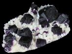 Dark Purple Cubic Fluorite on Quartz - Exceptional! #39003-2